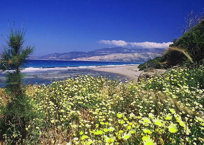 Exclusive In Ecovilla On The Apartament Apolakkia